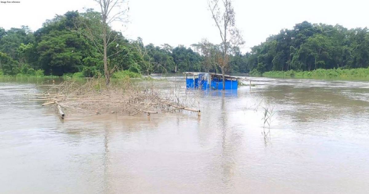 Assam flood situation remains grim; nearly 35,000 people affected
